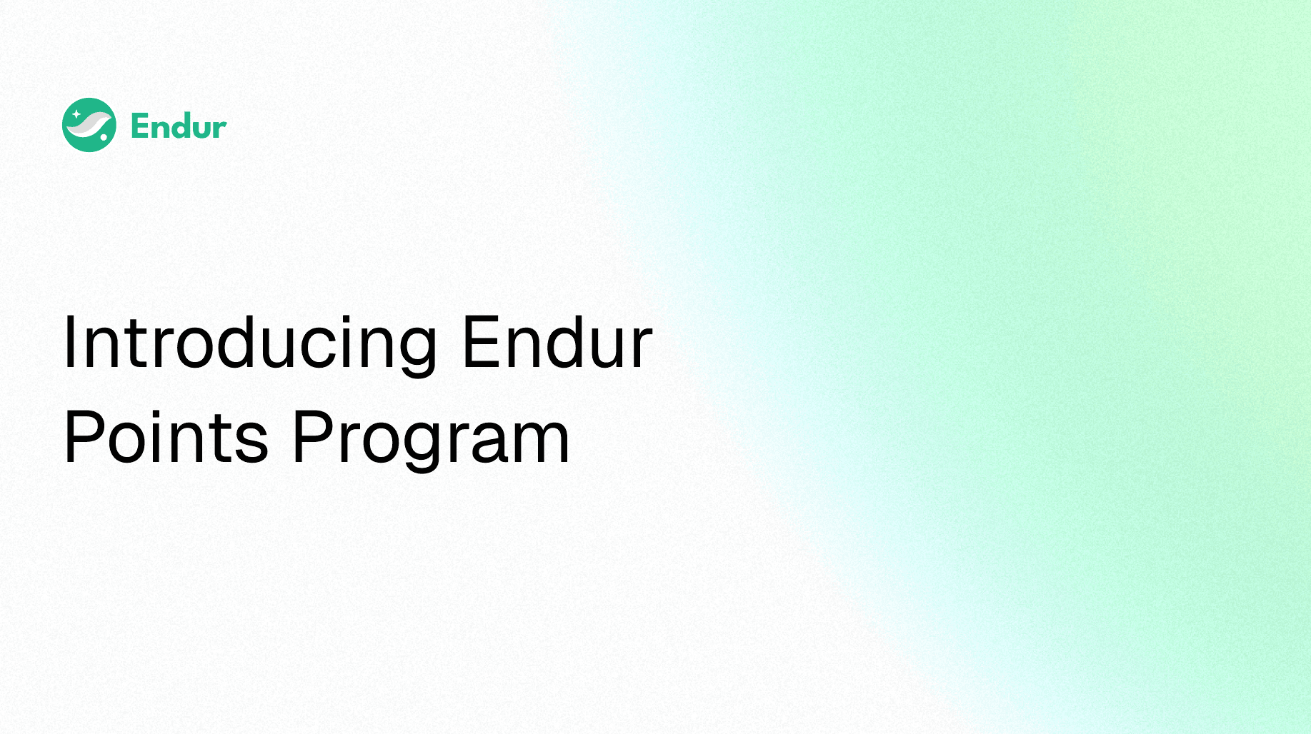 Introducing Endur Points Program